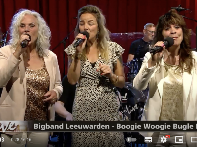 Big Band Leeuwarden '73 yn Noardewyn Live 